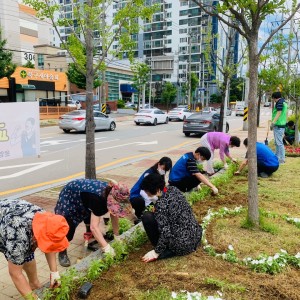 복지관 주변 화단 가꾸기(꽃 심기) 행사 이미지